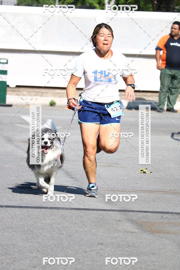 Buy your photos of the event2� Pet Run Shopping Eldorado  on Fotop