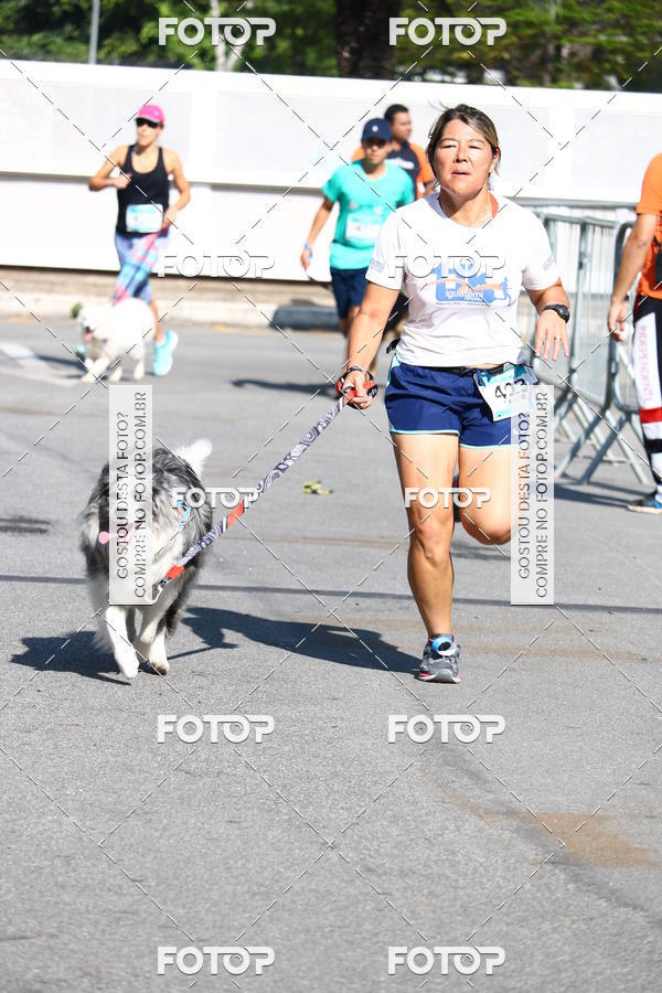 Buy your photos of the event2� Pet Run Shopping Eldorado  on Fotop