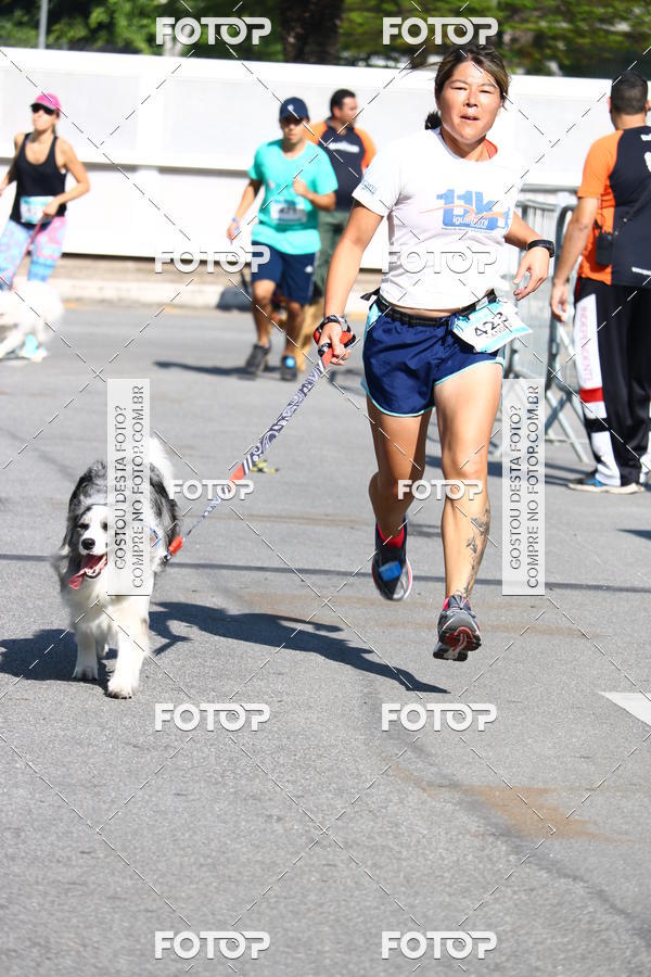 Buy your photos of the event2� Pet Run Shopping Eldorado  on Fotop