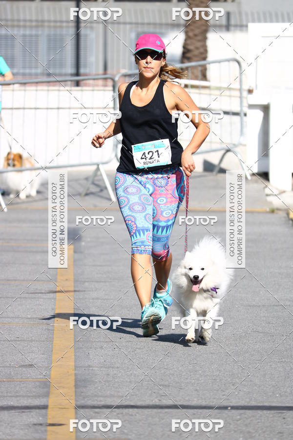 Buy your photos of the event2� Pet Run Shopping Eldorado  on Fotop