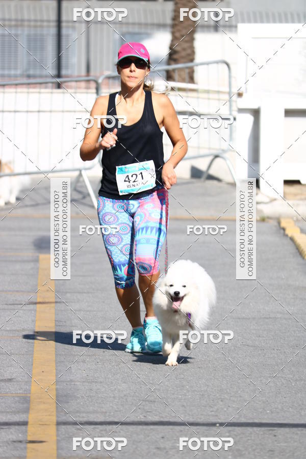 Buy your photos of the event2� Pet Run Shopping Eldorado  on Fotop