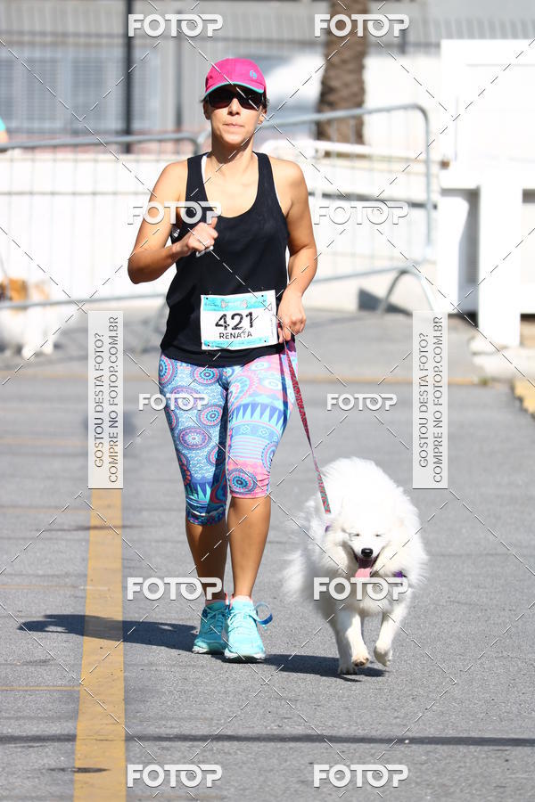 Buy your photos of the event2� Pet Run Shopping Eldorado  on Fotop
