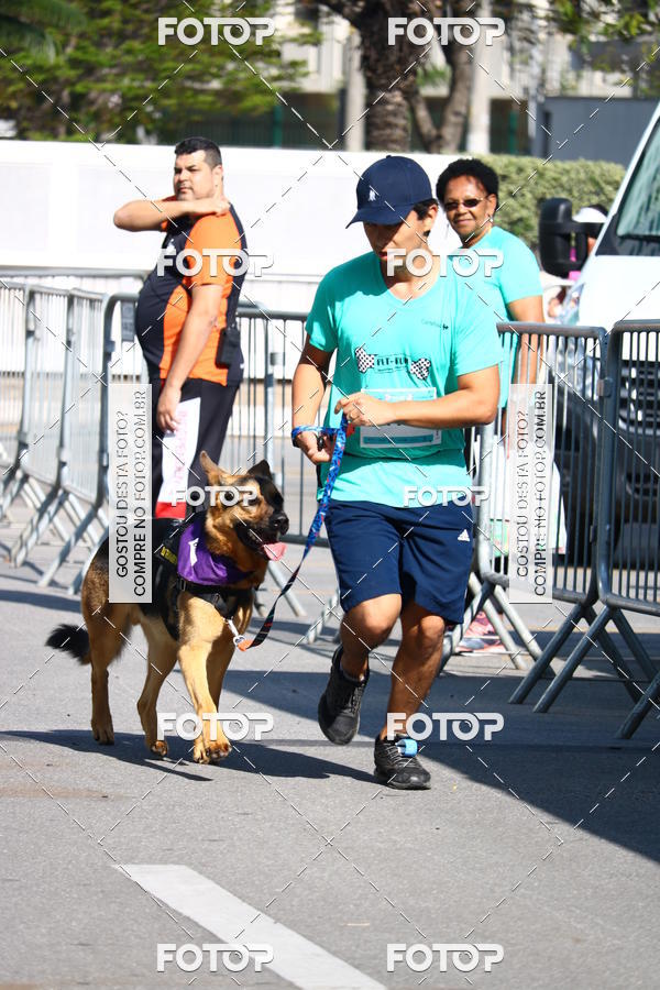 Buy your photos of the event2� Pet Run Shopping Eldorado  on Fotop