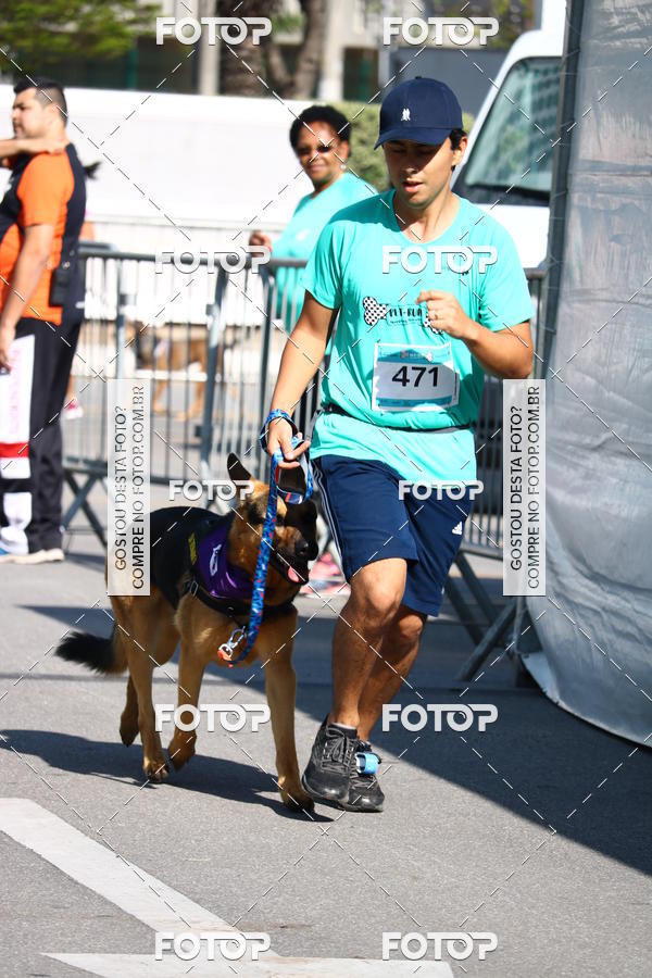 Buy your photos of the event2� Pet Run Shopping Eldorado  on Fotop