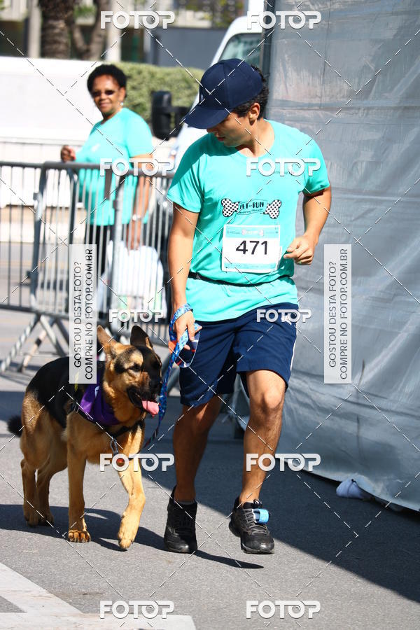 Buy your photos of the event2� Pet Run Shopping Eldorado  on Fotop