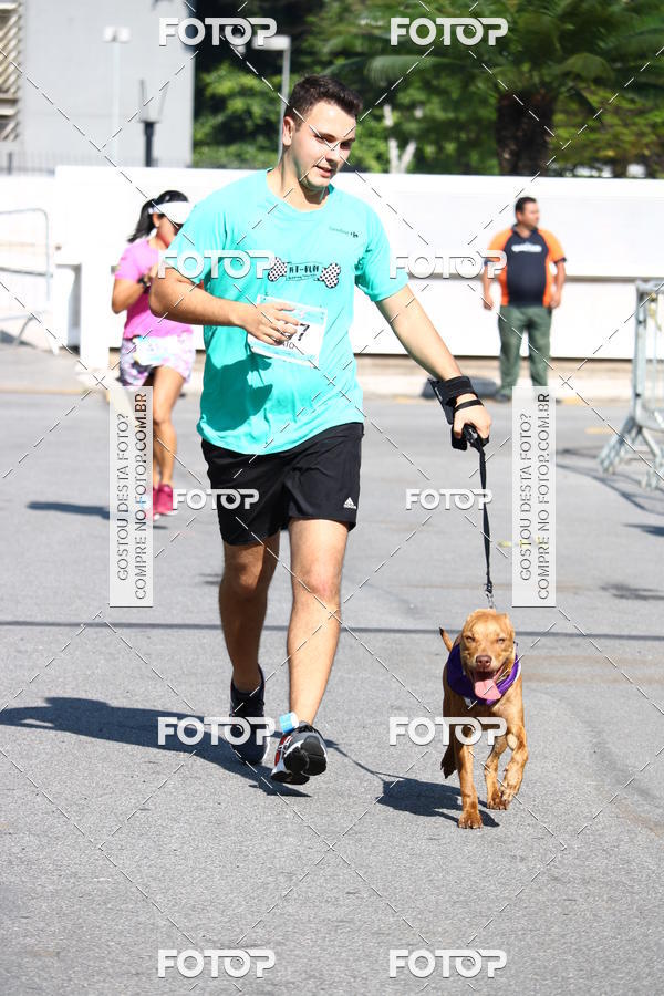Buy your photos of the event2� Pet Run Shopping Eldorado  on Fotop