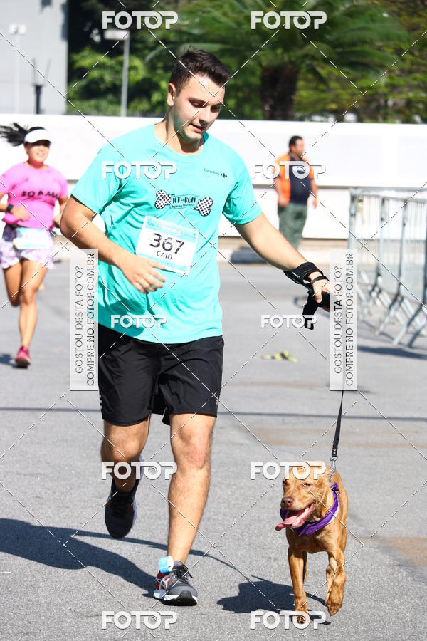 Buy your photos of the event2� Pet Run Shopping Eldorado  on Fotop
