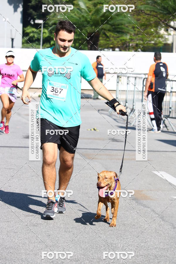 Buy your photos of the event2� Pet Run Shopping Eldorado  on Fotop