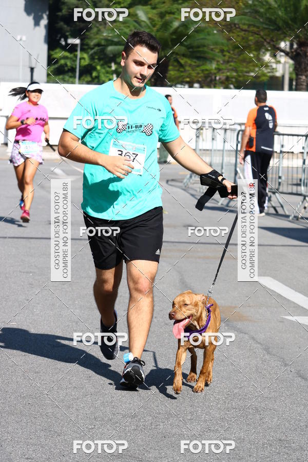 Buy your photos of the event2� Pet Run Shopping Eldorado  on Fotop