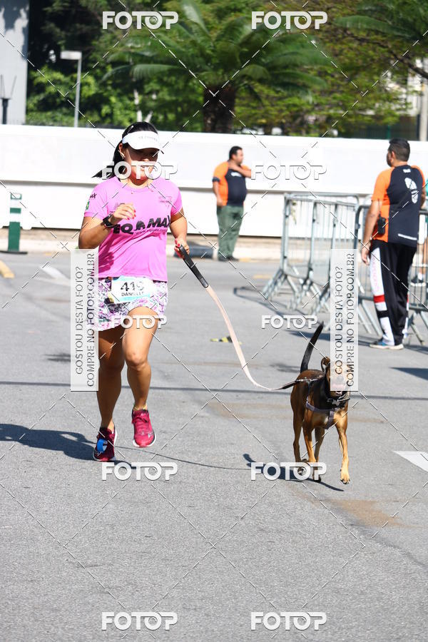 Buy your photos of the event2� Pet Run Shopping Eldorado  on Fotop