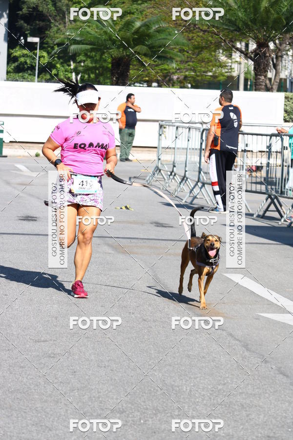 Buy your photos of the event2� Pet Run Shopping Eldorado  on Fotop