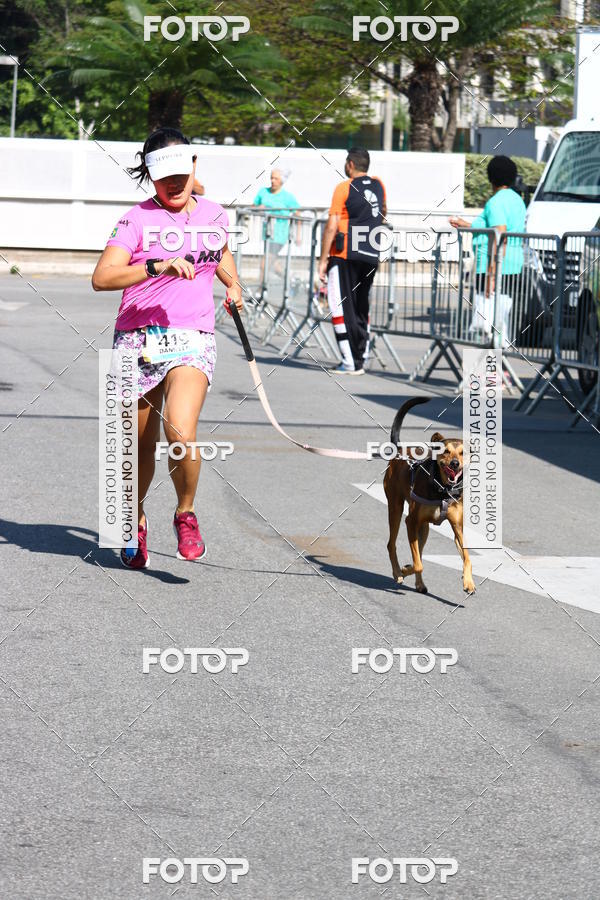 Buy your photos of the event2� Pet Run Shopping Eldorado  on Fotop