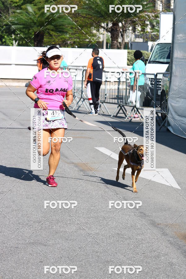Buy your photos of the event2� Pet Run Shopping Eldorado  on Fotop