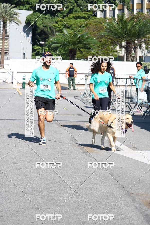 Buy your photos of the event2� Pet Run Shopping Eldorado  on Fotop