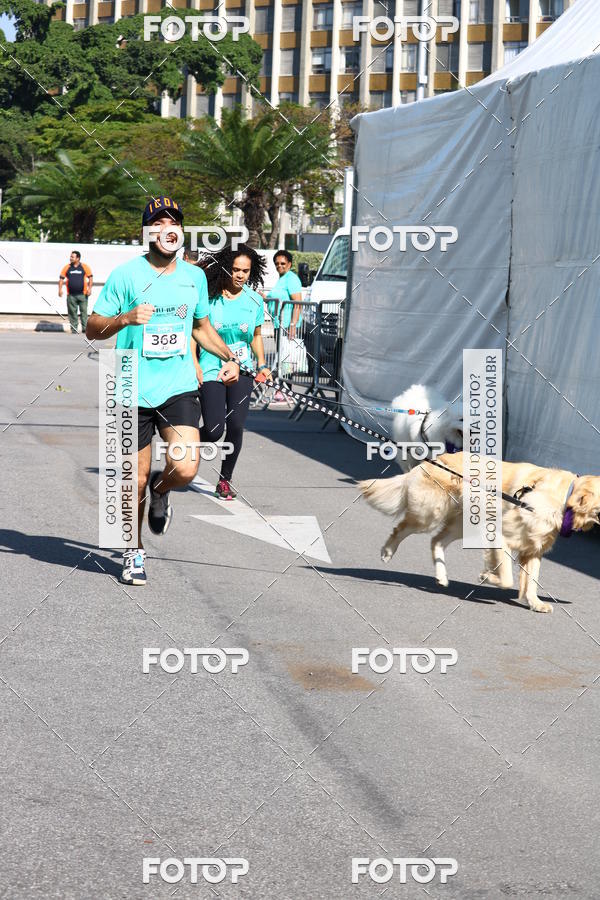 Buy your photos of the event2� Pet Run Shopping Eldorado  on Fotop