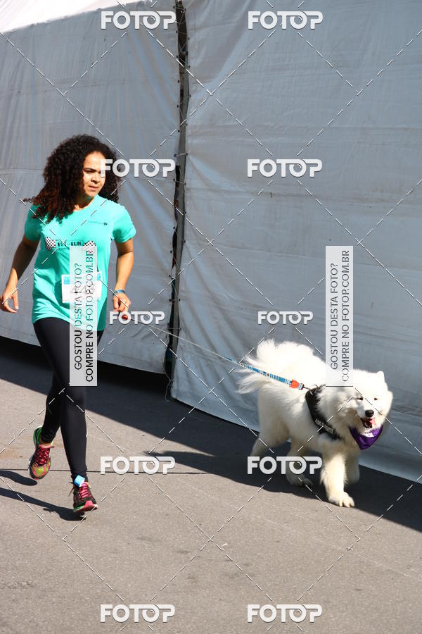 Buy your photos of the event2� Pet Run Shopping Eldorado  on Fotop