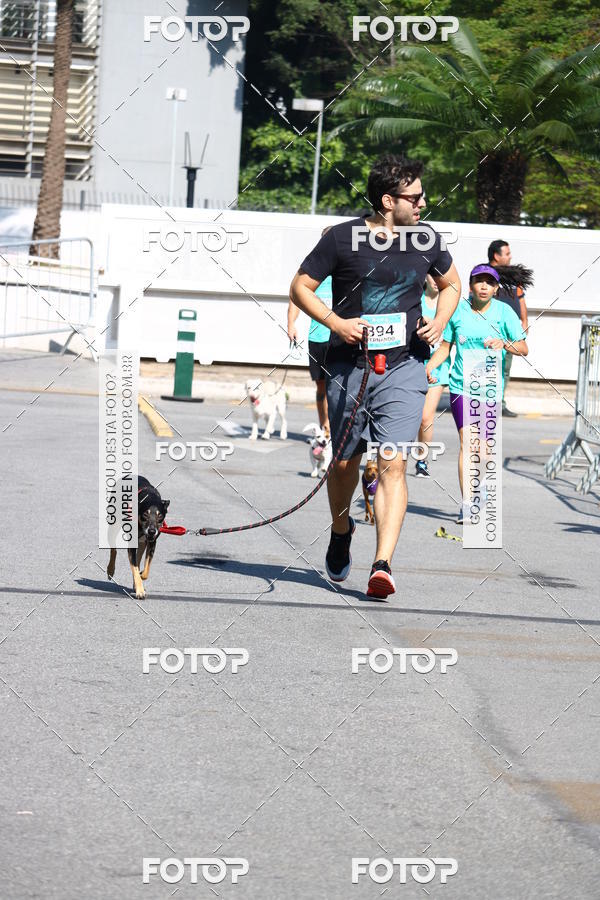 Buy your photos of the event2� Pet Run Shopping Eldorado  on Fotop