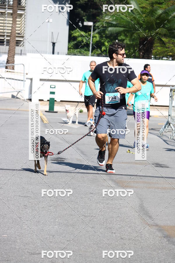Buy your photos of the event2� Pet Run Shopping Eldorado  on Fotop