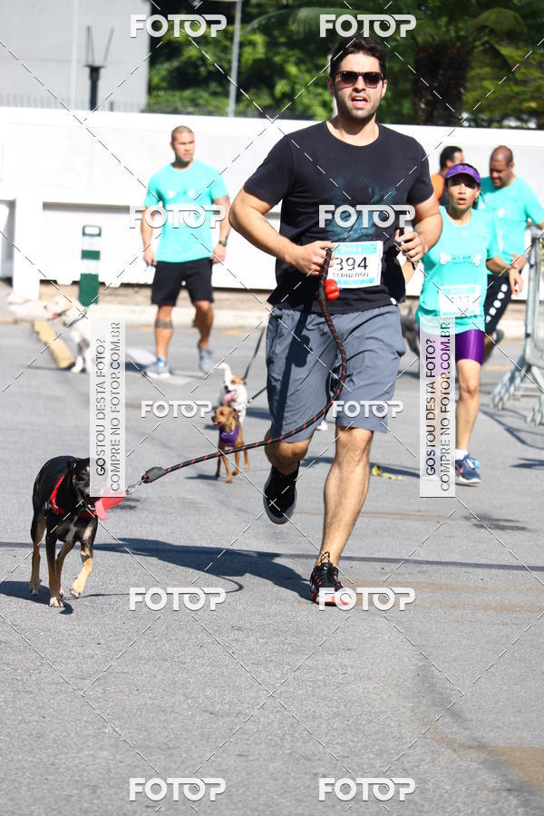 Buy your photos of the event2� Pet Run Shopping Eldorado  on Fotop