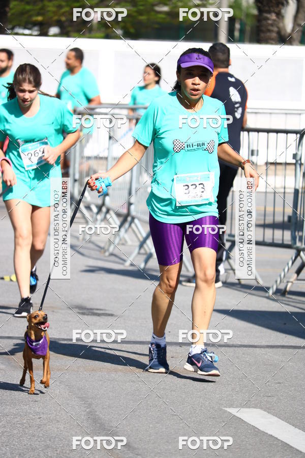 Buy your photos of the event2� Pet Run Shopping Eldorado  on Fotop