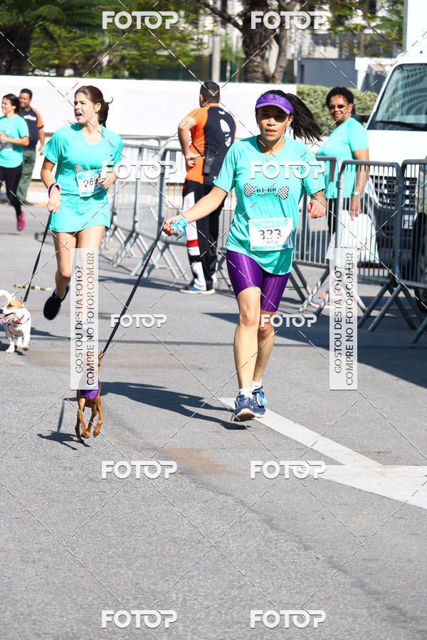 Buy your photos of the event2� Pet Run Shopping Eldorado  on Fotop