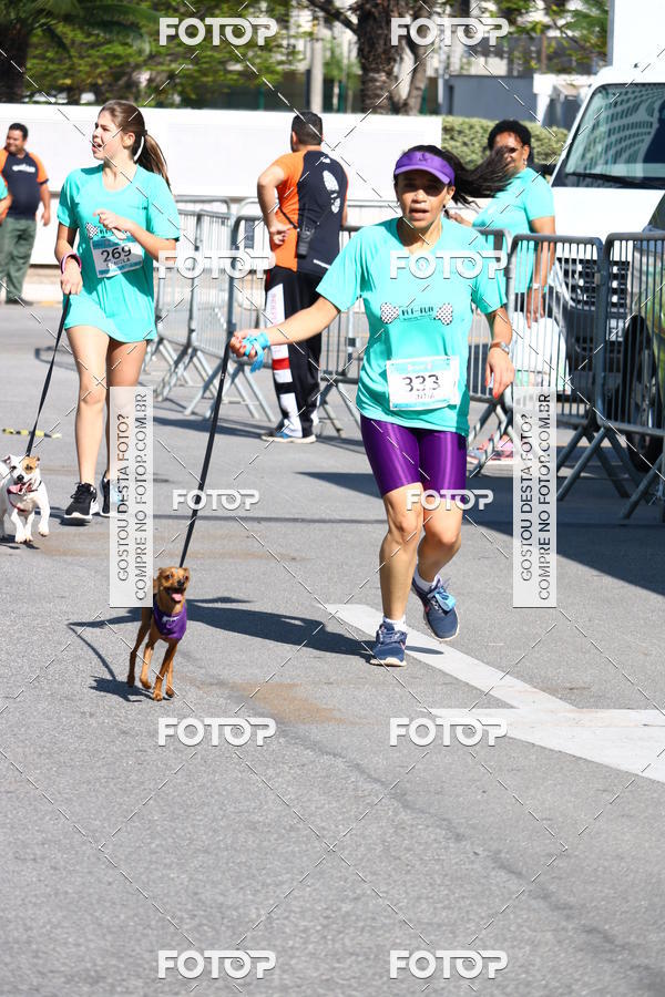 Buy your photos of the event2� Pet Run Shopping Eldorado  on Fotop
