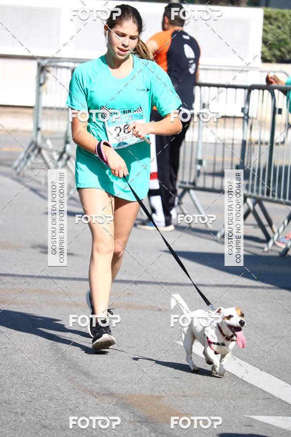 Buy your photos of the event2� Pet Run Shopping Eldorado  on Fotop