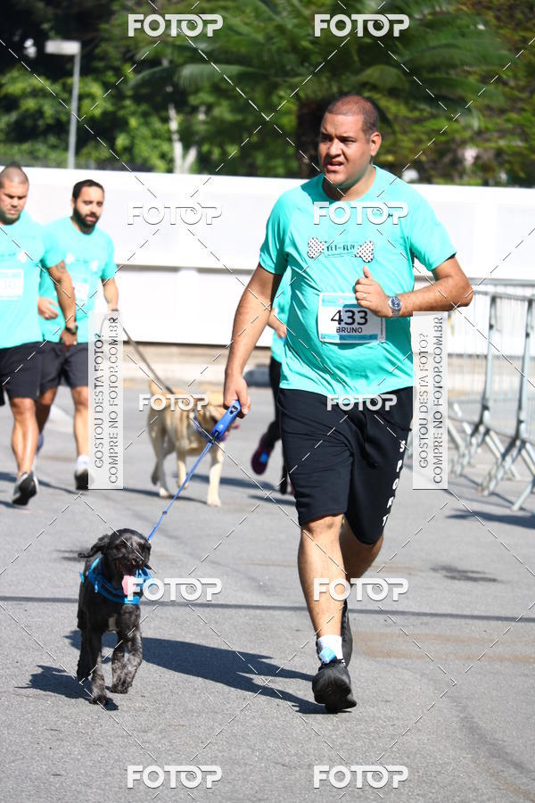 Buy your photos of the event2� Pet Run Shopping Eldorado  on Fotop