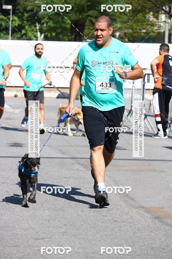 Buy your photos of the event2� Pet Run Shopping Eldorado  on Fotop