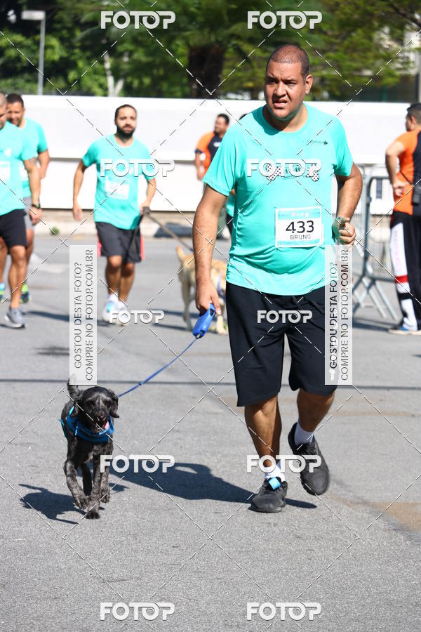 Buy your photos of the event2� Pet Run Shopping Eldorado  on Fotop