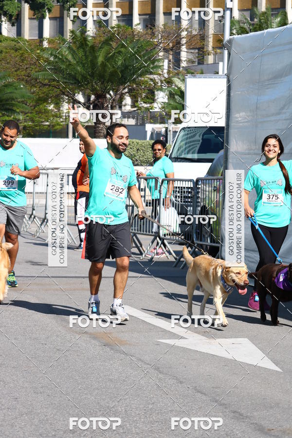 Buy your photos of the event2� Pet Run Shopping Eldorado  on Fotop