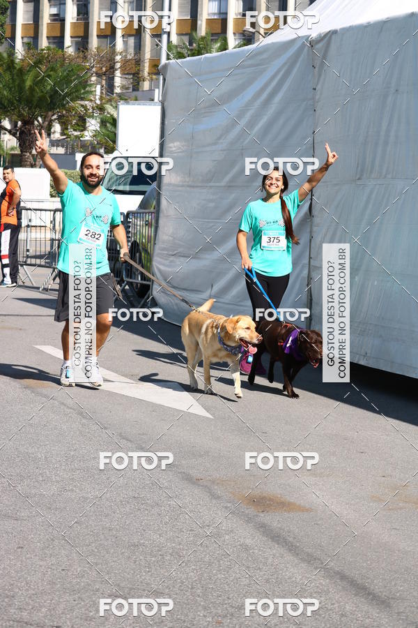 Buy your photos of the event2� Pet Run Shopping Eldorado  on Fotop