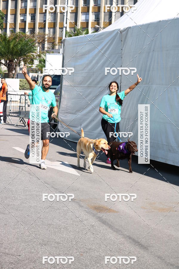 Buy your photos of the event2� Pet Run Shopping Eldorado  on Fotop