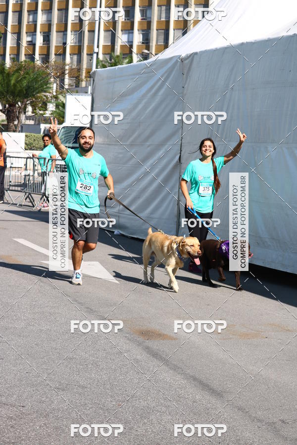 Buy your photos of the event2� Pet Run Shopping Eldorado  on Fotop