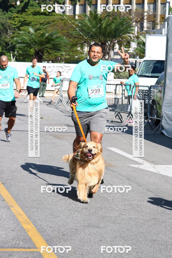 Buy your photos of the event2� Pet Run Shopping Eldorado  on Fotop