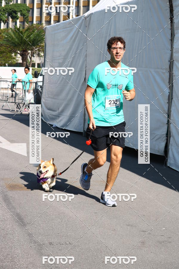 Buy your photos of the event2� Pet Run Shopping Eldorado  on Fotop
