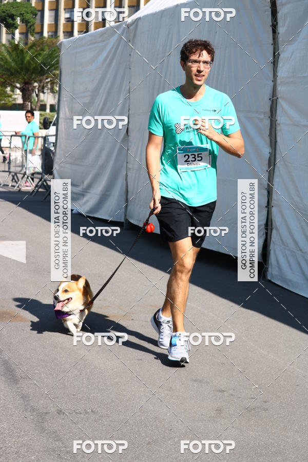 Buy your photos of the event2� Pet Run Shopping Eldorado  on Fotop