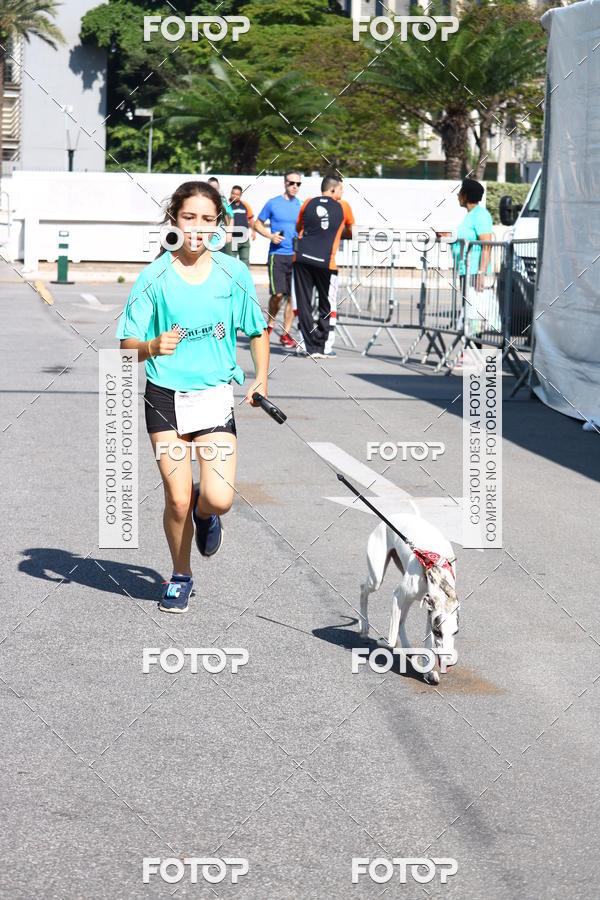 Buy your photos of the event2� Pet Run Shopping Eldorado  on Fotop