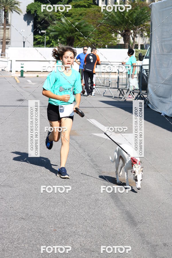 Buy your photos of the event2� Pet Run Shopping Eldorado  on Fotop