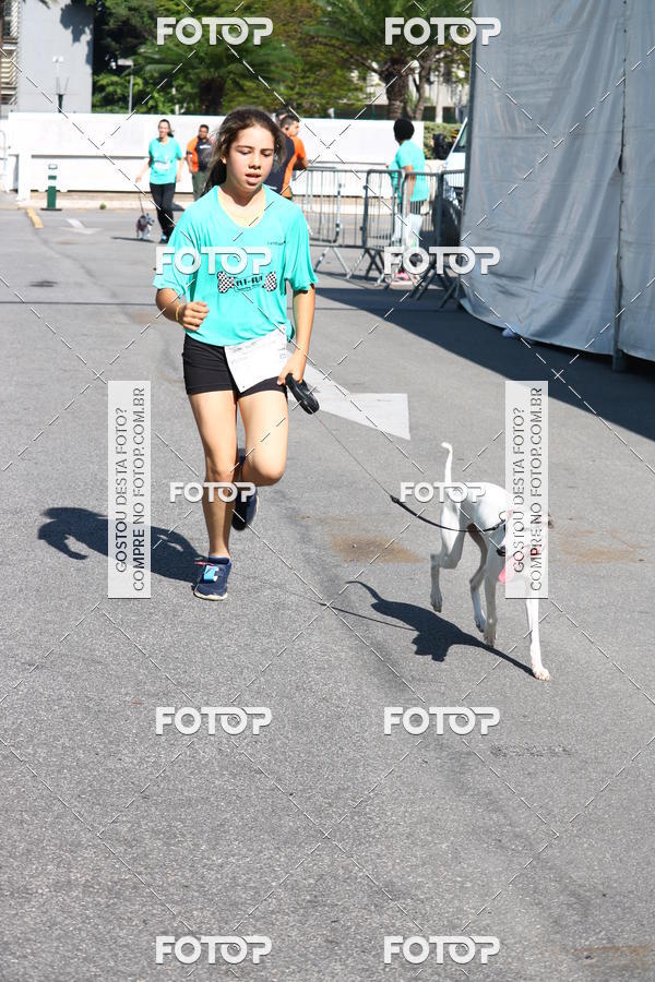 Buy your photos of the event2� Pet Run Shopping Eldorado  on Fotop