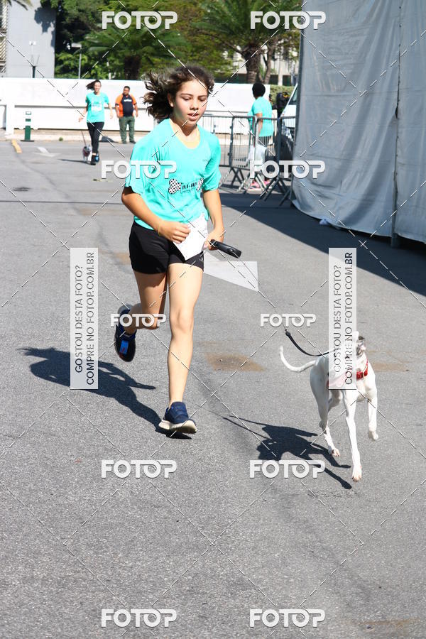 Buy your photos of the event2� Pet Run Shopping Eldorado  on Fotop