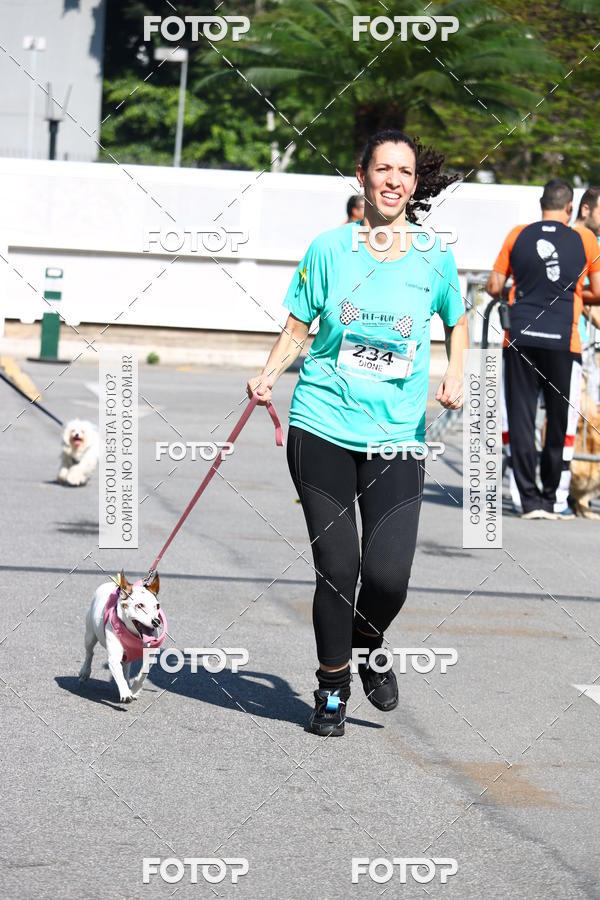 Buy your photos of the event2� Pet Run Shopping Eldorado  on Fotop