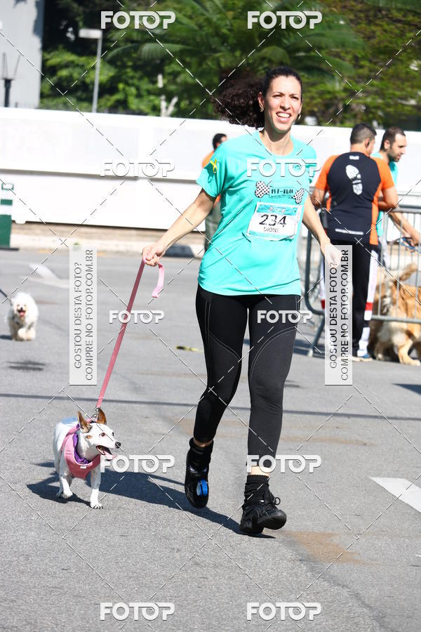 Buy your photos of the event2� Pet Run Shopping Eldorado  on Fotop