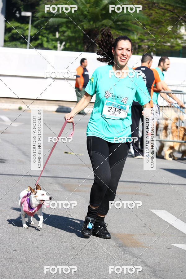 Buy your photos of the event2� Pet Run Shopping Eldorado  on Fotop