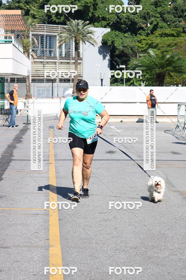 Buy your photos of the event2� Pet Run Shopping Eldorado  on Fotop