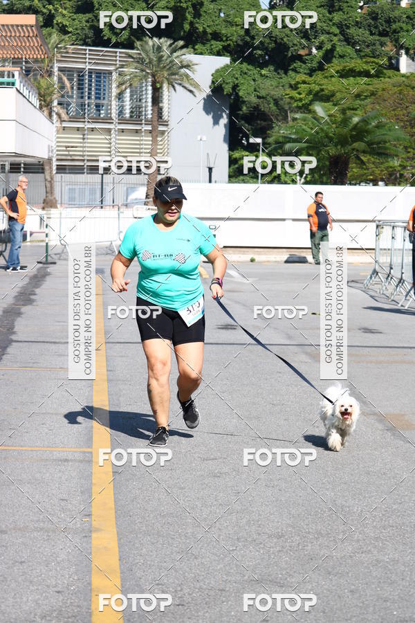 Buy your photos of the event2� Pet Run Shopping Eldorado  on Fotop