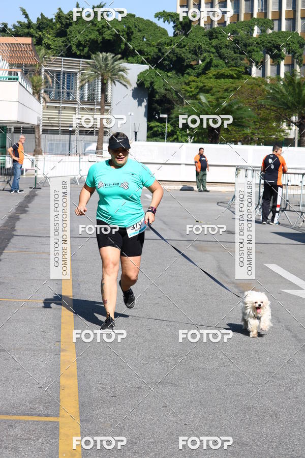Buy your photos of the event2� Pet Run Shopping Eldorado  on Fotop