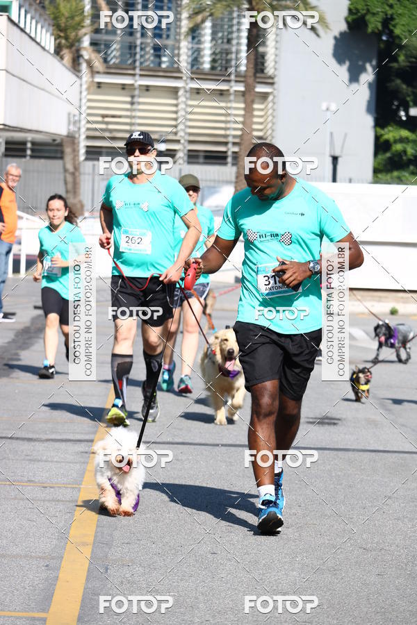 Buy your photos of the event2� Pet Run Shopping Eldorado  on Fotop