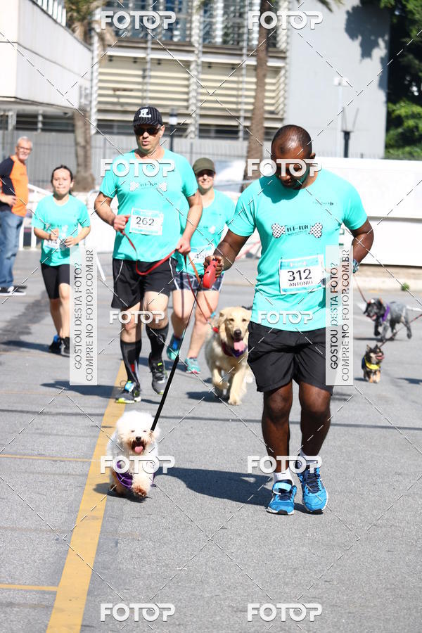 Buy your photos of the event2� Pet Run Shopping Eldorado  on Fotop