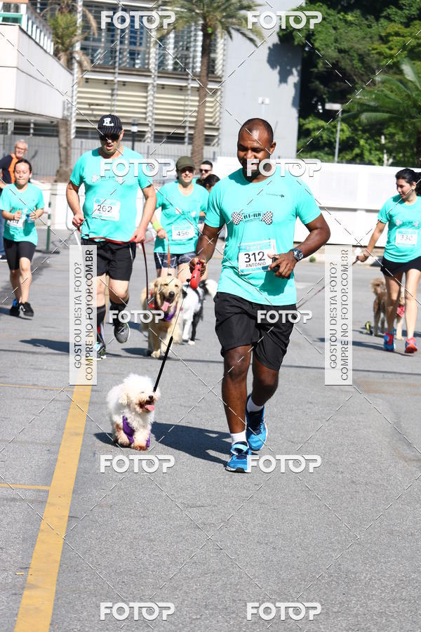 Buy your photos of the event2� Pet Run Shopping Eldorado  on Fotop